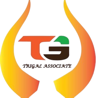 Header Logo